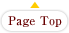 Page Top